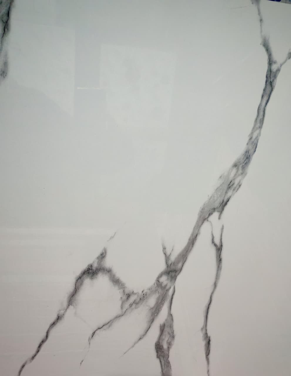 Carrara Blanco